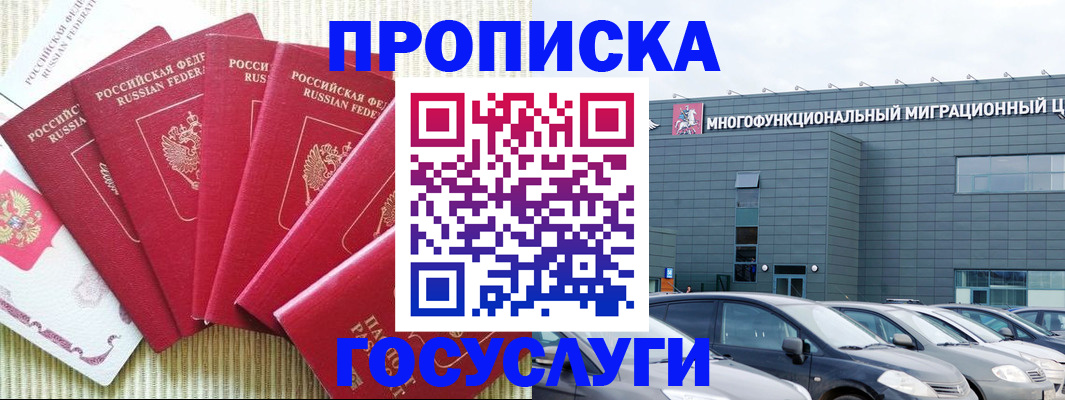 временная регистрация поиск в Лузе